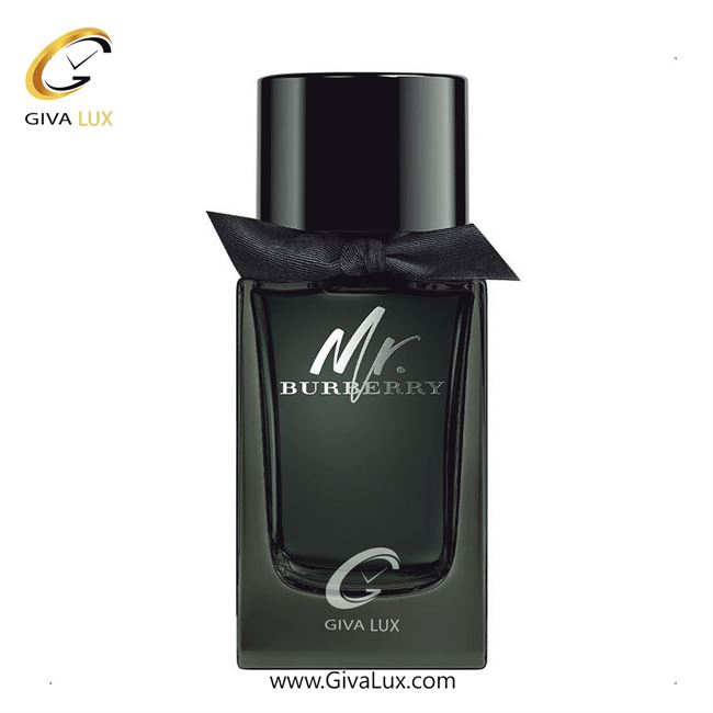   Burberry Mr. Burberry.jpg